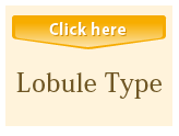 Lobule Type