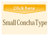 Small Concha Type